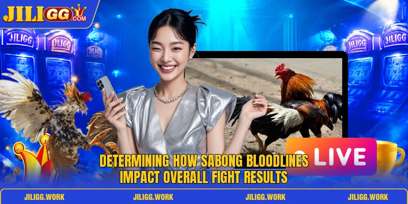 Determining how Sabong bloodlines impact overall fight results Determining how Sabong bloodlines impact overall fight results