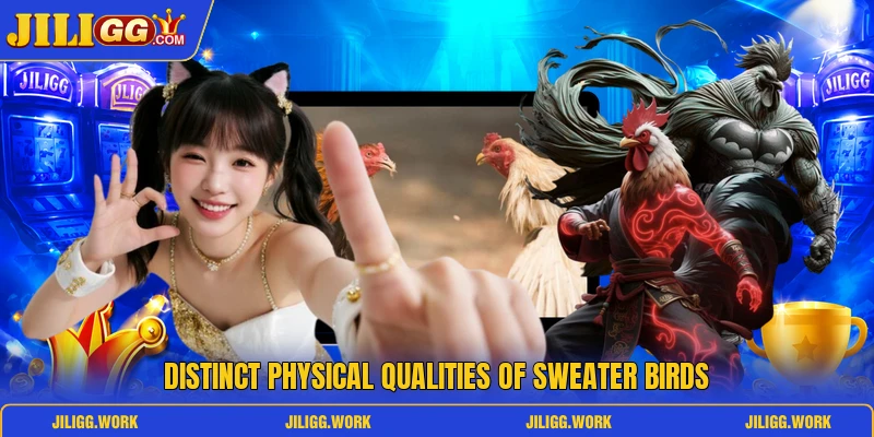Distinct physical qualities of Sweater birds Distinct physical qualities of Sweater birds