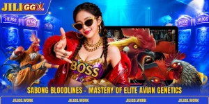 sabong bloodlines mastery of elite avian genetics