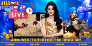 sabong breeds essential lineages for top cockfights